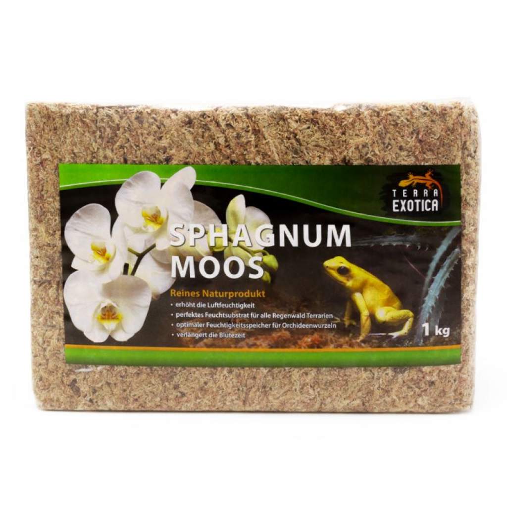 Sphagnum Moos